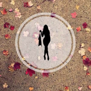 少年的熟女天国